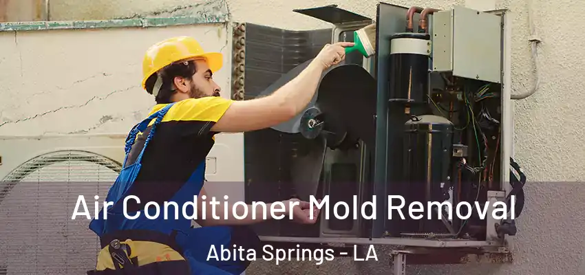  Air Conditioner Mold Removal Abita Springs - LA