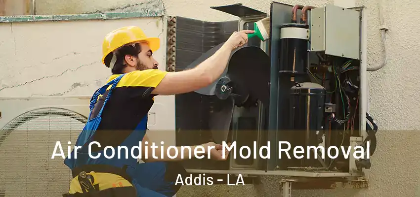 Air Conditioner Mold Removal Addis - LA