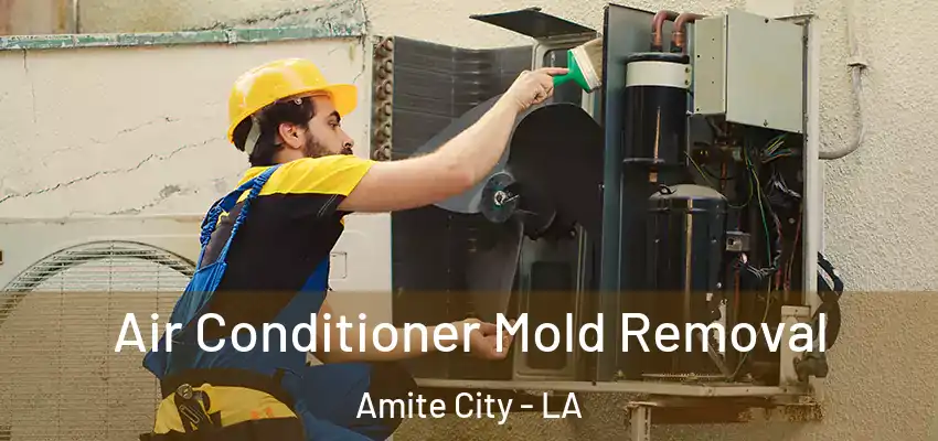  Air Conditioner Mold Removal Amite City - LA