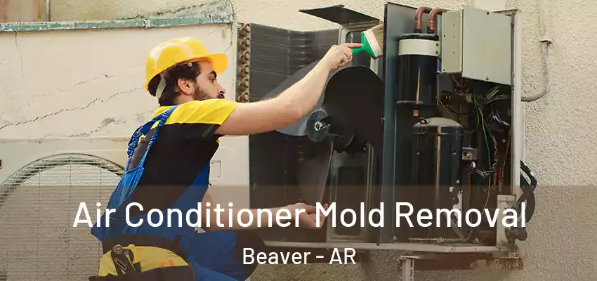  Air Conditioner Mold Removal Beaver - AR