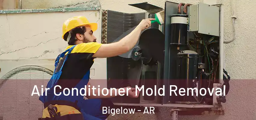  Air Conditioner Mold Removal Bigelow - AR