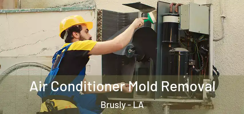 Air Conditioner Mold Removal Brusly - LA