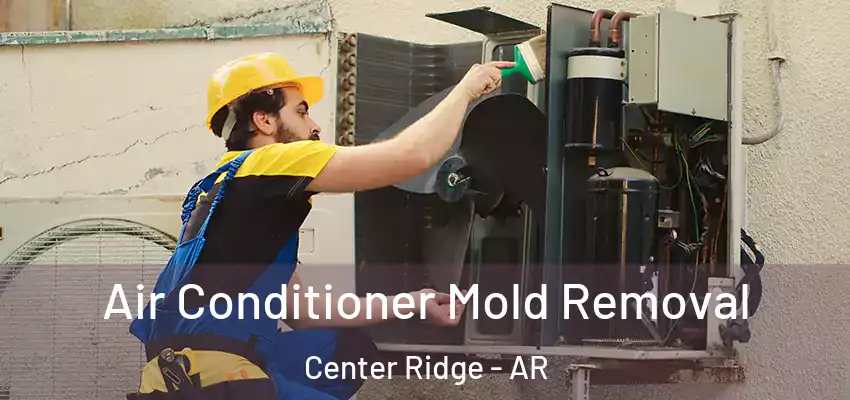  Air Conditioner Mold Removal Center Ridge - AR