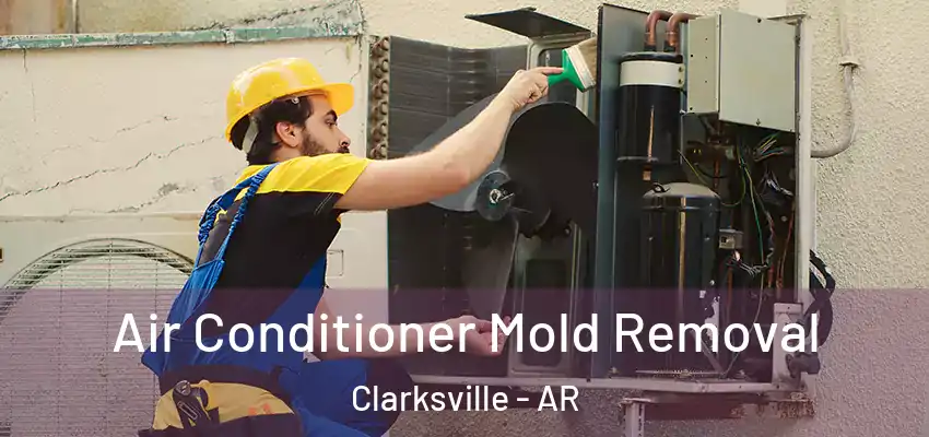  Air Conditioner Mold Removal Clarksville - AR
