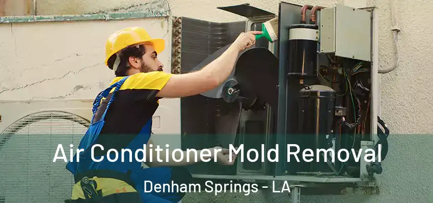  Air Conditioner Mold Removal Denham Springs - LA