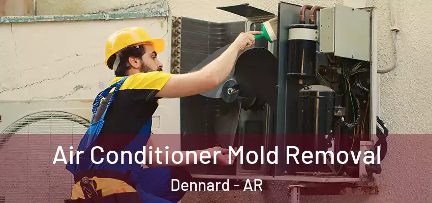  Air Conditioner Mold Removal Dennard - AR