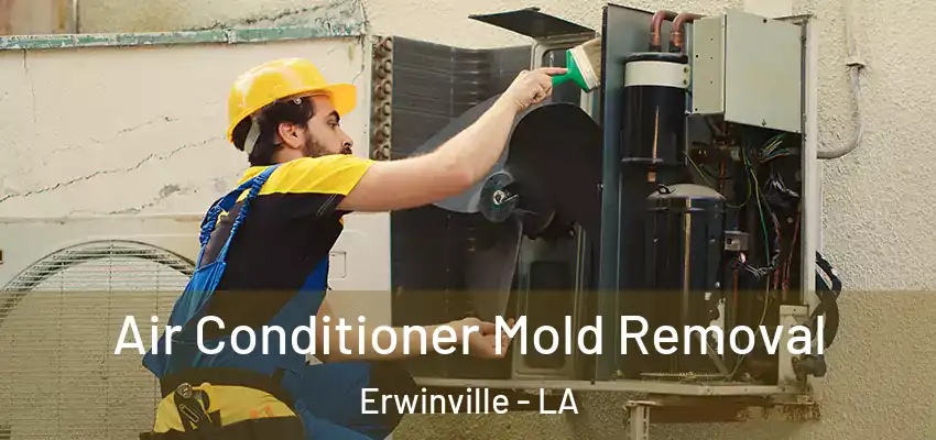  Air Conditioner Mold Removal Erwinville - LA