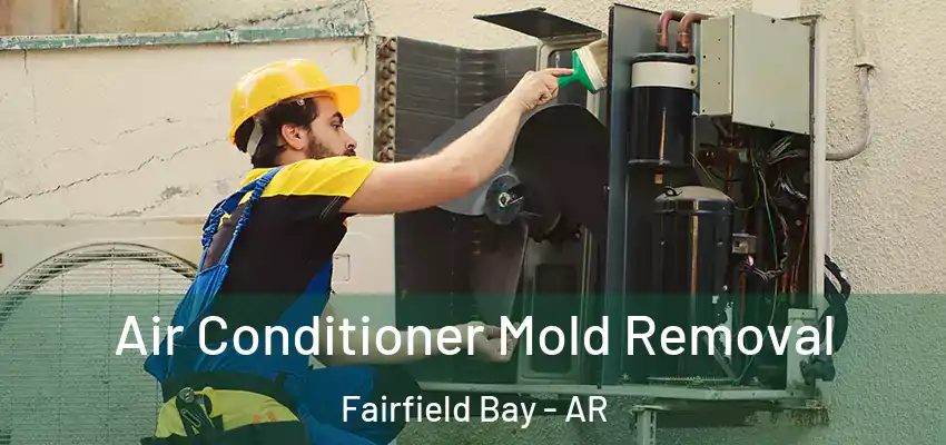 Air Conditioner Mold Removal Fairfield Bay - AR