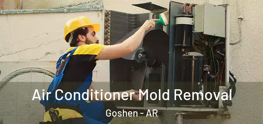  Air Conditioner Mold Removal Goshen - AR