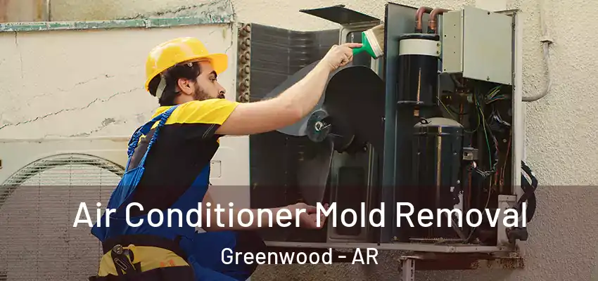  Air Conditioner Mold Removal Greenwood - AR