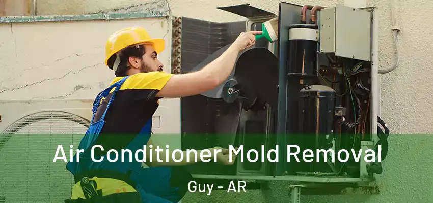  Air Conditioner Mold Removal Guy - AR