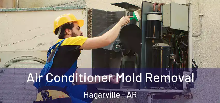  Air Conditioner Mold Removal Hagarville - AR