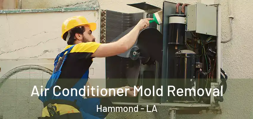  Air Conditioner Mold Removal Hammond - LA