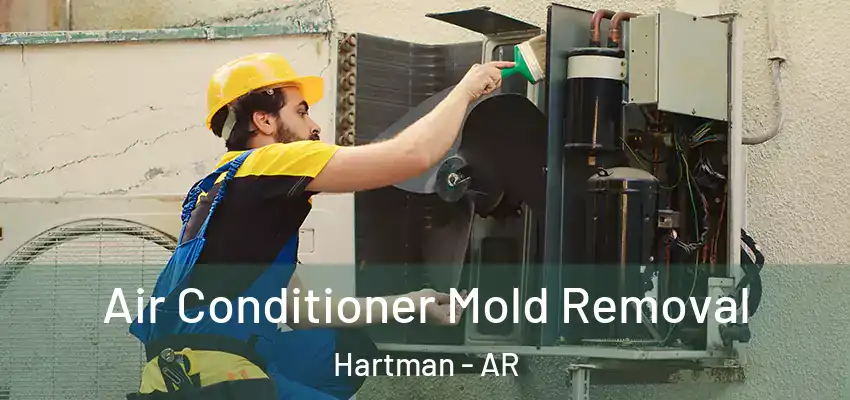  Air Conditioner Mold Removal Hartman - AR