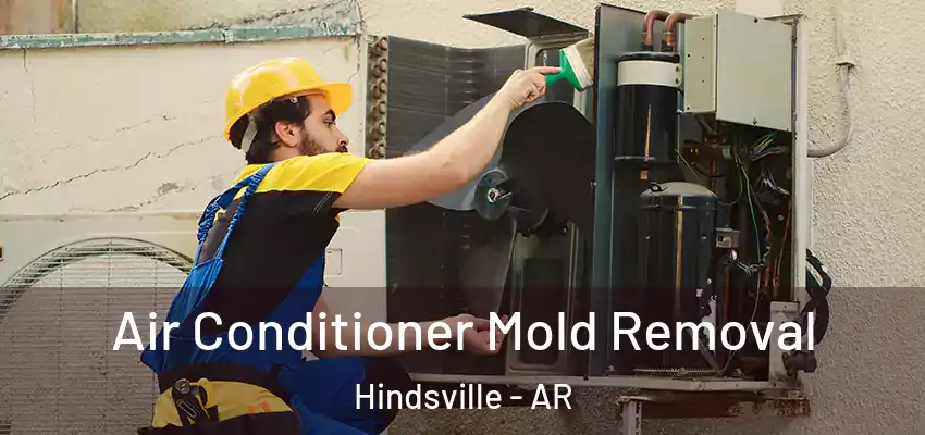  Air Conditioner Mold Removal Hindsville - AR