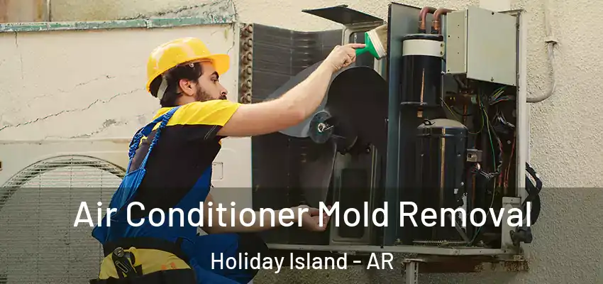  Air Conditioner Mold Removal Holiday Island - AR