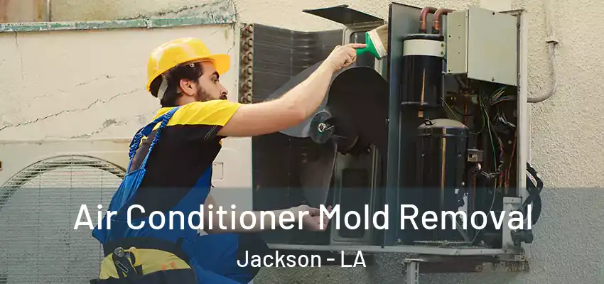 Air Conditioner Mold Removal Jackson - LA