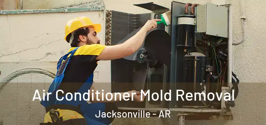  Air Conditioner Mold Removal Jacksonville - AR