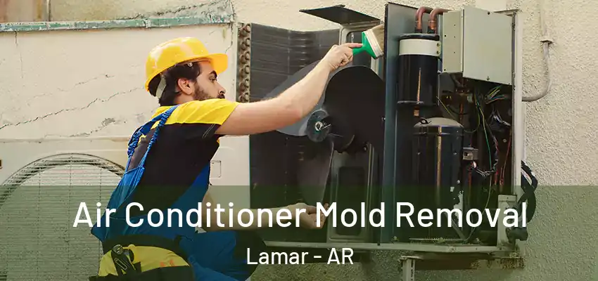  Air Conditioner Mold Removal Lamar - AR