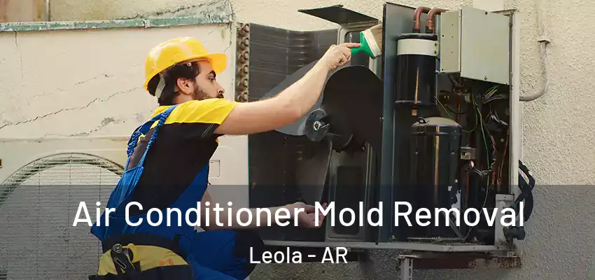  Air Conditioner Mold Removal Leola - AR