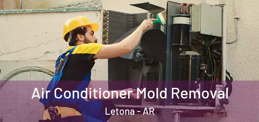  Air Conditioner Mold Removal Letona - AR
