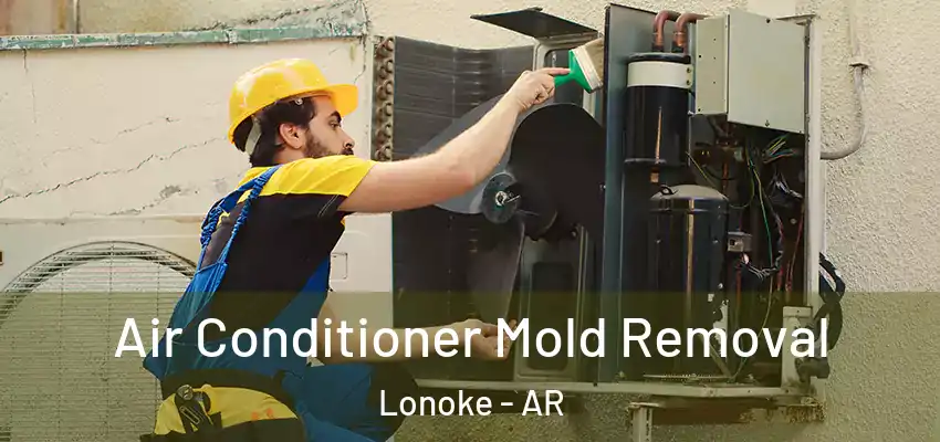  Air Conditioner Mold Removal Lonoke - AR