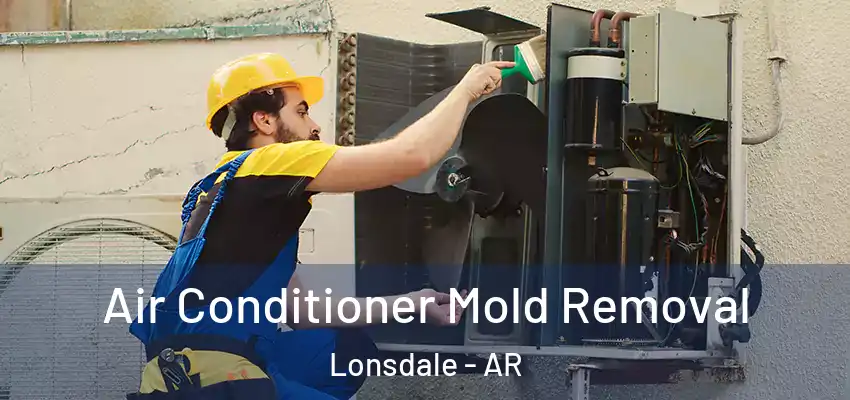  Air Conditioner Mold Removal Lonsdale - AR