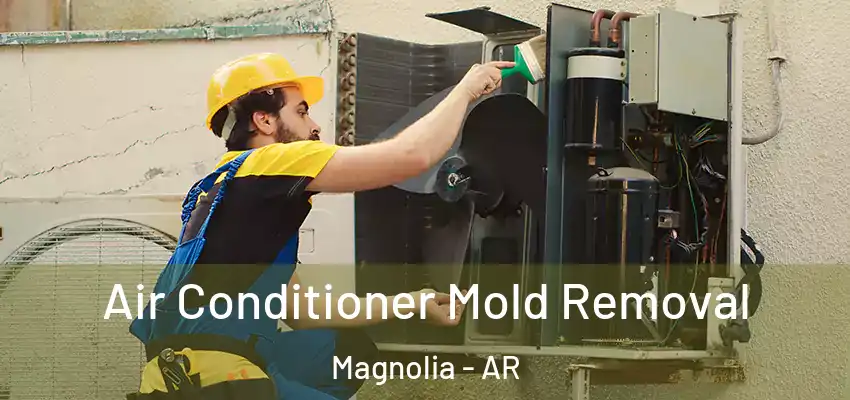  Air Conditioner Mold Removal Magnolia - AR