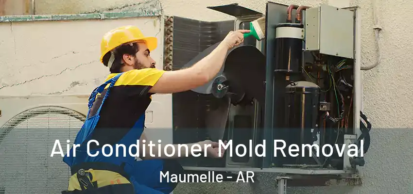  Air Conditioner Mold Removal Maumelle - AR