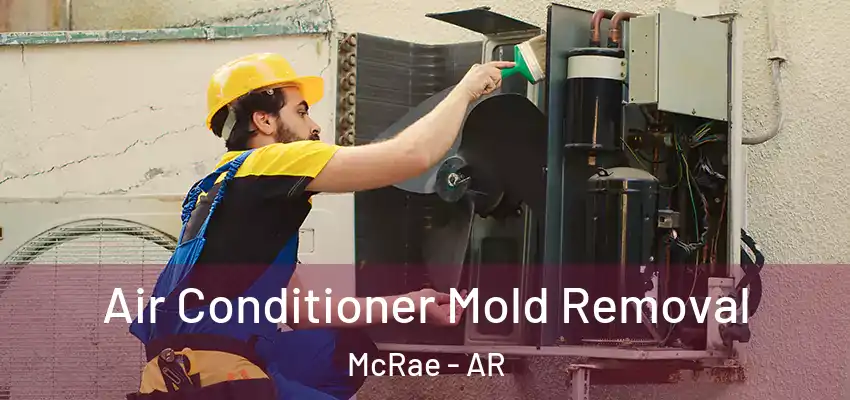  Air Conditioner Mold Removal McRae - AR