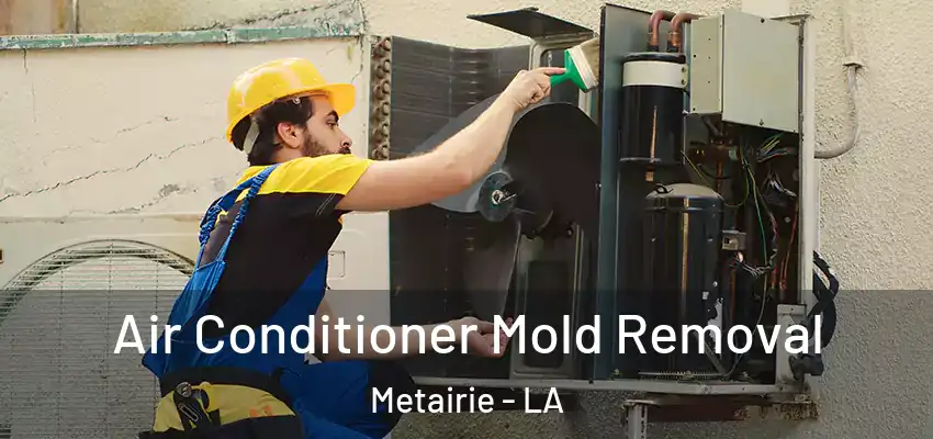  Air Conditioner Mold Removal Metairie - LA