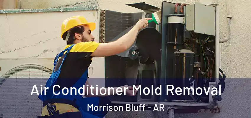  Air Conditioner Mold Removal Morrison Bluff - AR