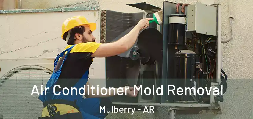  Air Conditioner Mold Removal Mulberry - AR