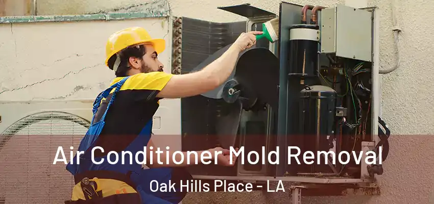  Air Conditioner Mold Removal Oak Hills Place - LA
