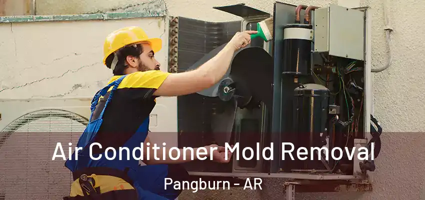  Air Conditioner Mold Removal Pangburn - AR