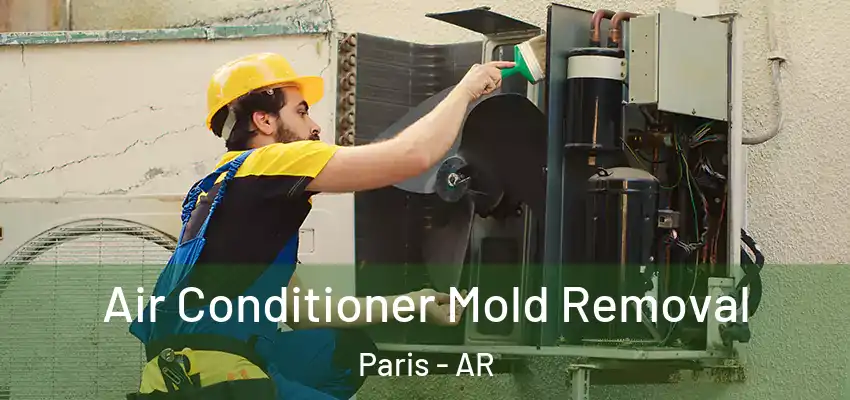  Air Conditioner Mold Removal Paris - AR