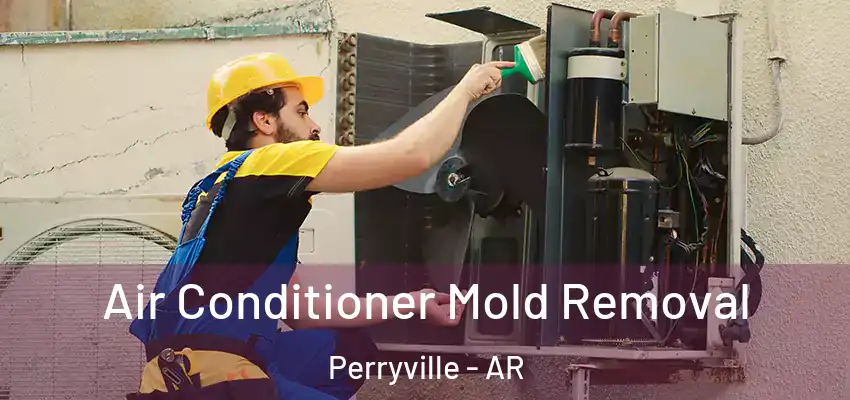  Air Conditioner Mold Removal Perryville - AR