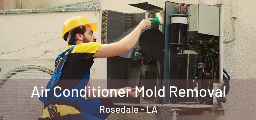  Air Conditioner Mold Removal Rosedale - LA