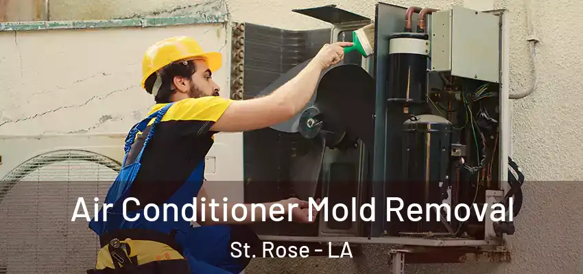  Air Conditioner Mold Removal St. Rose - LA