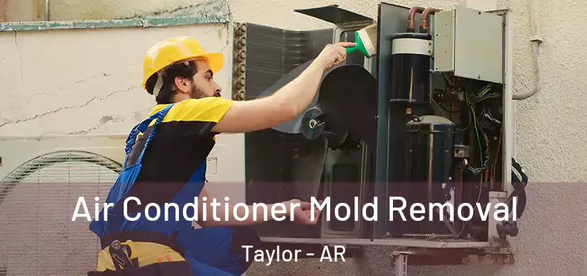 Air Conditioner Mold Removal Taylor - AR