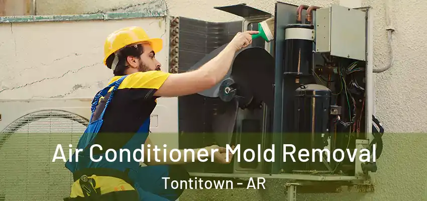 Air Conditioner Mold Removal Tontitown - AR
