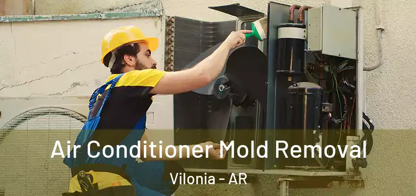  Air Conditioner Mold Removal Vilonia - AR