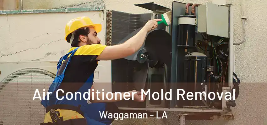  Air Conditioner Mold Removal Waggaman - LA