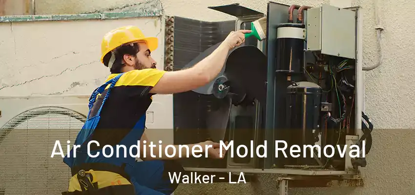  Air Conditioner Mold Removal Walker - LA