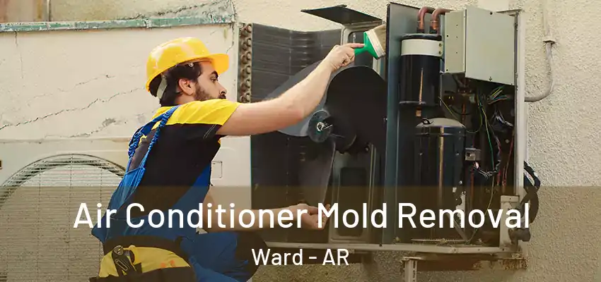  Air Conditioner Mold Removal Ward - AR
