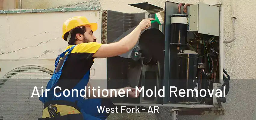 Air Conditioner Mold Removal West Fork - AR