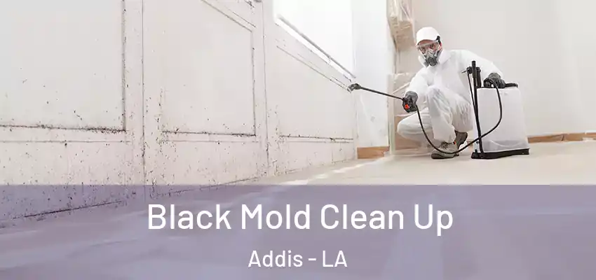 Black Mold Clean Up Addis - LA