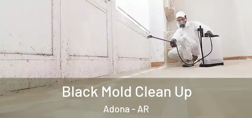 Black Mold Clean Up Adona - AR