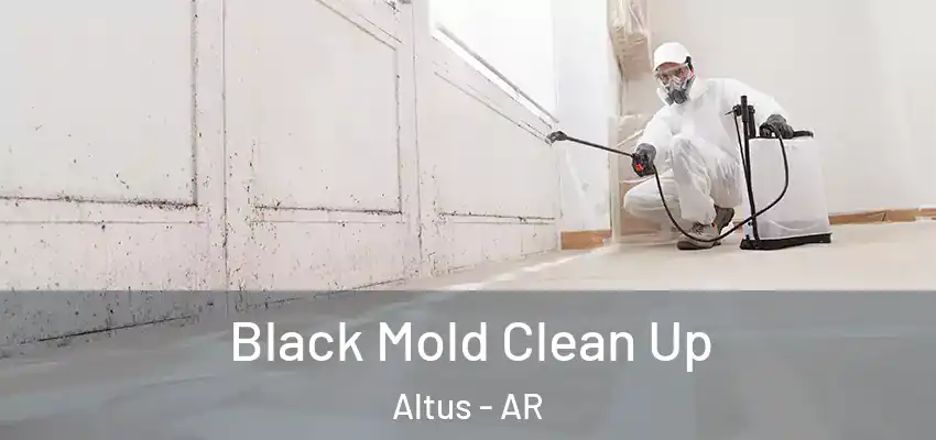  Black Mold Clean Up Altus - AR
