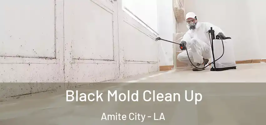  Black Mold Clean Up Amite City - LA